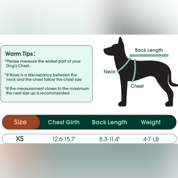 Dog Onesie xs After Surgery Recovery Suit - Picture 7 of 10